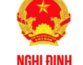 Nghị định 08/2022/NĐ-CP